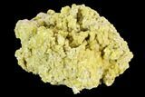 Sulfur Crystal Cluster on Matrix - Nevada #129748-2